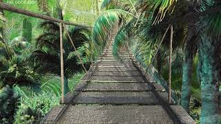 Tropical Forest Ambience – 10 Hours Singing Birds. Perfect for Relaxation