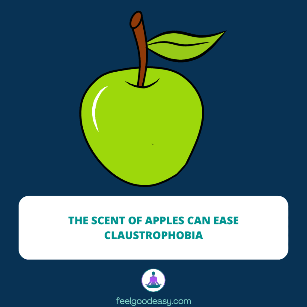 The scent of apples can ease claustrophobia
