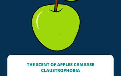 Apples Helping Claustrophobia