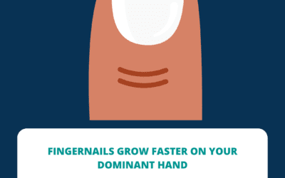 Why Do Fingernails Grow Faster on Your Dominant Hand?