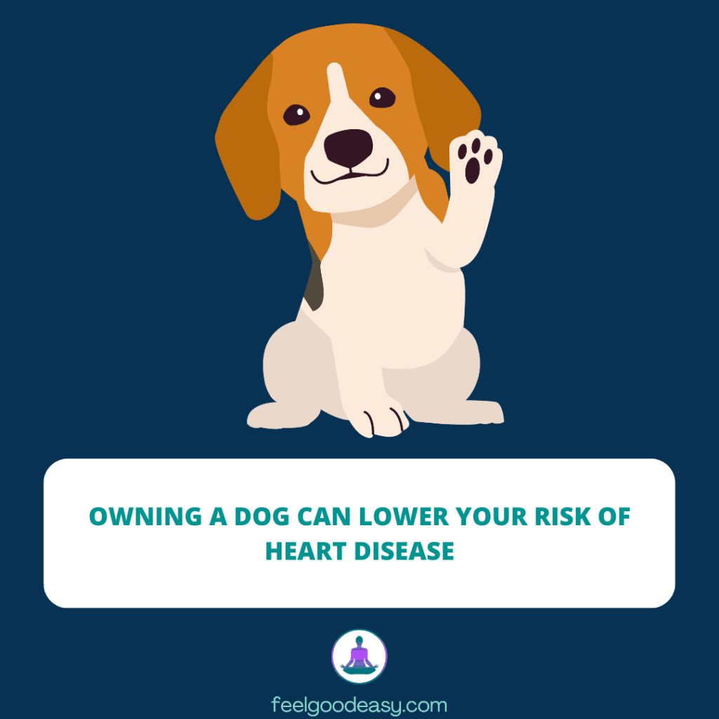 Owning a dog can lower your risk of heart disease