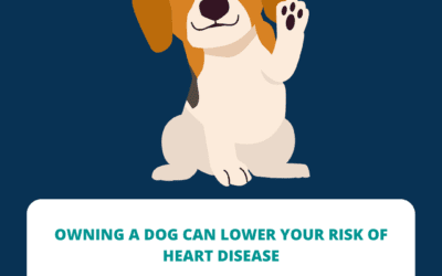 Having a dog helps decrease stress